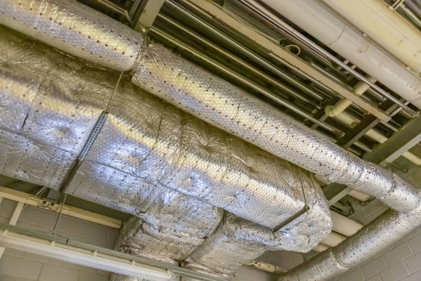 Best Ductwork Cleaning Services  in Constantine, MI